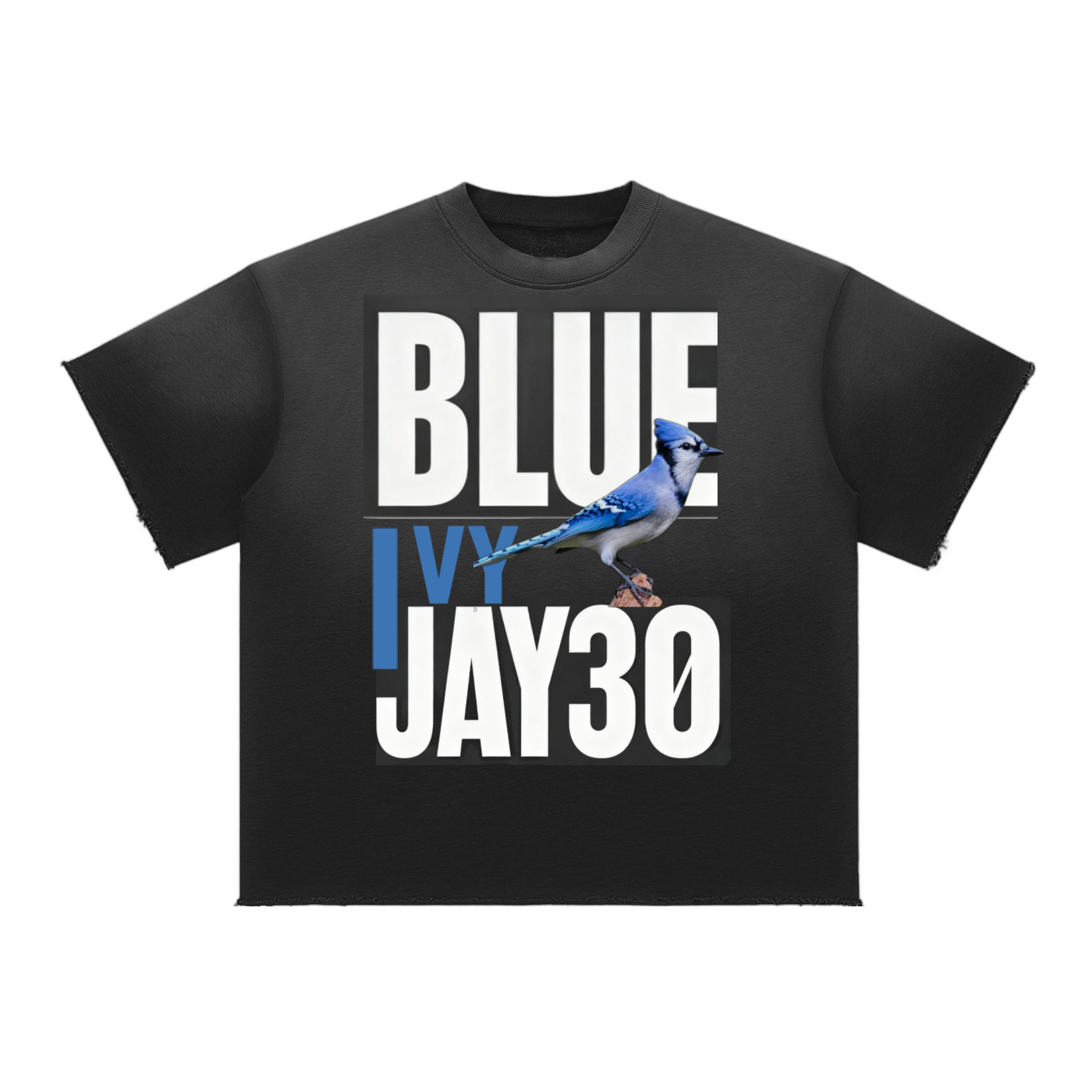BLUEJAY-30